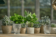 Cargar imagen en el visor de la galería, 231626,70