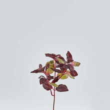 Cargar imagen en el visor de la galería, Albahaca Morada Artificial