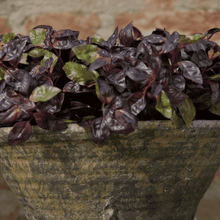 Cargar imagen en el visor de la galería, 231656,69a