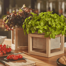 Cargar imagen en el visor de la galería, 231656,69b