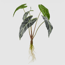 Cargar imagen en el visor de la galería, 231861,72