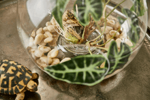 Cargar imagen en el visor de la galería, 231861,72d