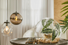 Cargar imagen en el visor de la galería, 231861,72e