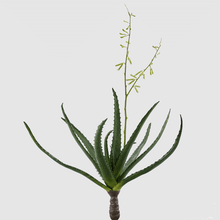 Cargar imagen en el visor de la galería, 232031,70