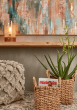 Cargar imagen en el visor de la galería, Aloe Vera Hiperrealista