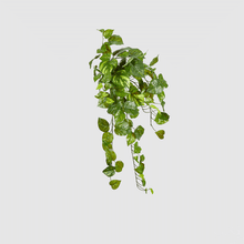 Cargar imagen en el visor de la galería, 232049,70