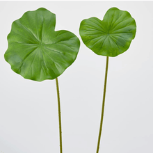 Cargar imagen en el visor de la galería, 232095,7