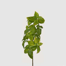 Cargar imagen en el visor de la galería, Hierbabuena