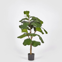 Cargar imagen en el visor de la galería, 232403,70