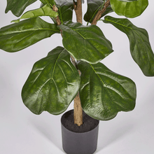 Cargar imagen en el visor de la galería, 232403,70a