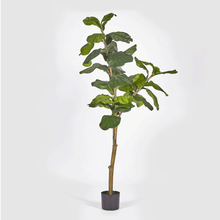 Cargar imagen en el visor de la galería, Ficus Lyrata Artificial