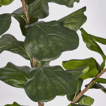 Cargar imagen en el visor de la galería, Ficus Lyrata Artificial