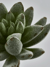 Cargar imagen en el visor de la galería, 234112,71a