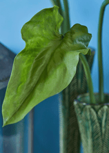 Cargar imagen en el visor de la galería, 238073,7b