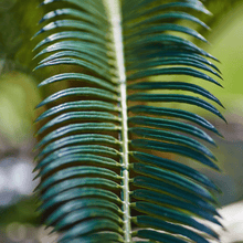 Cargar imagen en el visor de la galería, 238599,70a