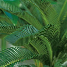 Cargar imagen en el visor de la galería, 238599,70e