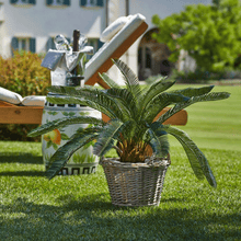 Cargar imagen en el visor de la galería, 238599,70f