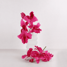 Cargar imagen en el visor de la galería, Orquídeas colombianas Hiperrealistas