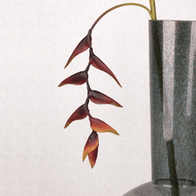 Cargar imagen en el visor de la galería, Heliconia Marrón