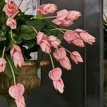 Cargar imagen en el visor de la galería, Medinilla Hiperrealista