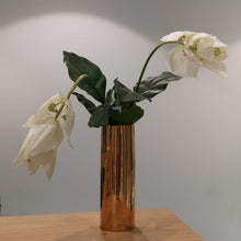 Cargar imagen en el visor de la galería, Medinilla Hiperrealista