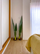 Cargar imagen en el visor de la galería, Antes DespuÉs F 02 4