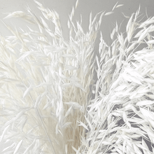 Cargar imagen en el visor de la galería, Avena Seca varios colores