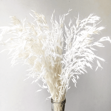 Cargar imagen en el visor de la galería, Avena Seca varios colores