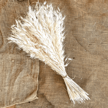 Cargar imagen en el visor de la galería, Avena Seca varios colores