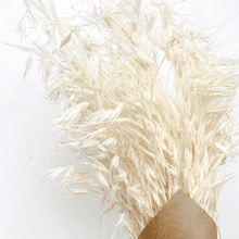 Cargar imagen en el visor de la galería, Avena Seca varios colores