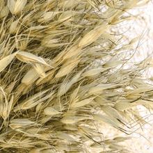Cargar imagen en el visor de la galería, Avena Salvaje Natural 6