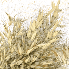 Cargar imagen en el visor de la galería, Avena Salvaje Natural 7