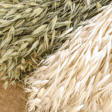 Cargar imagen en el visor de la galería, Avena Salvaje Natural 8