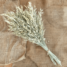 Cargar imagen en el visor de la galería, Avena Salvaje Natural 9