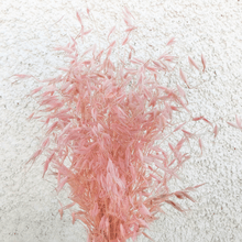 Cargar imagen en el visor de la galería, Avena Seca varios colores