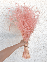 Cargar imagen en el visor de la galería, Avena Seca varios colores