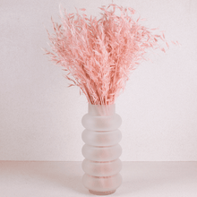 Cargar imagen en el visor de la galería, Avena Seca varios colores