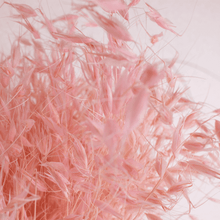 Cargar imagen en el visor de la galería, Avena Seca varios colores