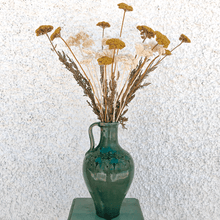 Cargar imagen en el visor de la galería, Achilea Filipendulina Blanca 1