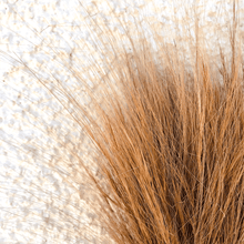 Cargar imagen en el visor de la galería, Barba Natural Rubia 3