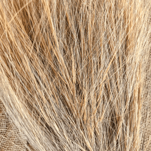 Cargar imagen en el visor de la galería, Barba Natural Rubia 4
