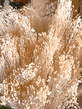 Cargar imagen en el visor de la galería, Brooms Blanco