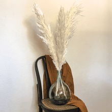 Cargar imagen en el visor de la galería, Cania Silvestre 3