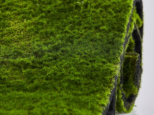 Cargar imagen en el visor de la galería, Plancha de Musgo Hiperrealista