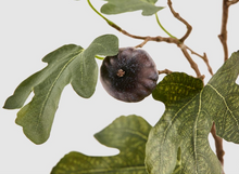 Cargar imagen en el visor de la galería, Rama Higos