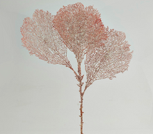 Cargar imagen en el visor de la galería, Coral Rojo Burdeos