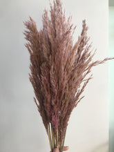 Cargar imagen en el visor de la galería, Pampas Silvestres Varios Colores