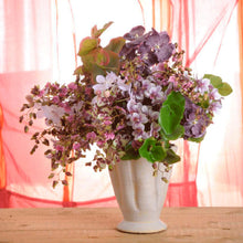 Cargar imagen en el visor de la galería, Hoja Begonia