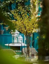 Cargar imagen en el visor de la galería, Decoco Producto Forsythia 1