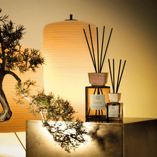 Cargar imagen en el visor de la galería, Difusor en sticks Kyushu Rice 250ml